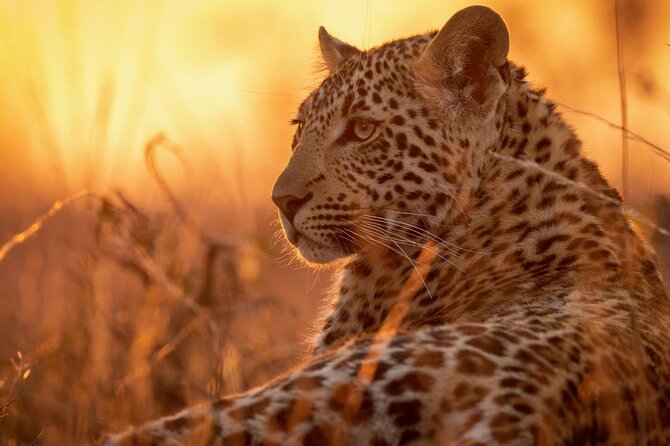 2 Days 1 Night: Zanzibar - Selous Game Reserve - Zanzibar - thumbnail 3