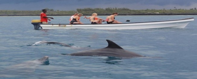 Day Trip to Kizimkazi Dolphin View Point - thumbnail 5