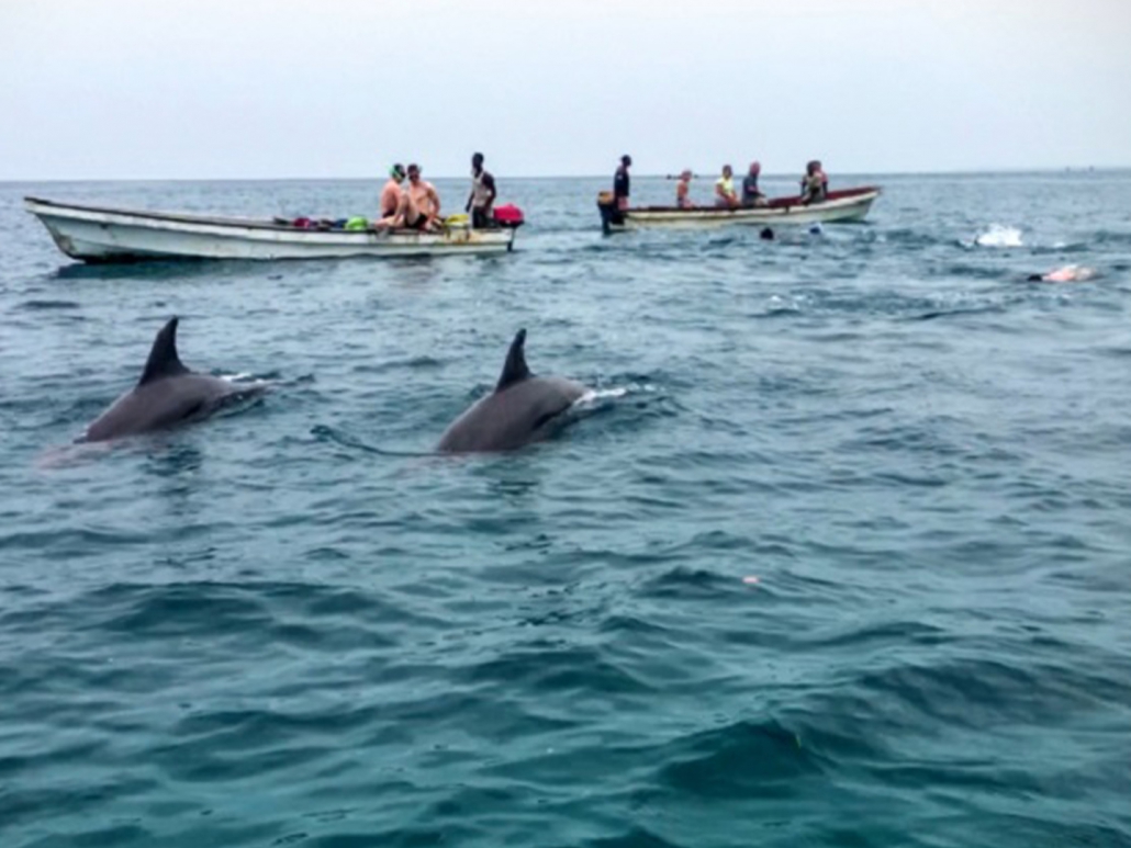 Day Trip to Kizimkazi Dolphin View Point - thumbnail 2