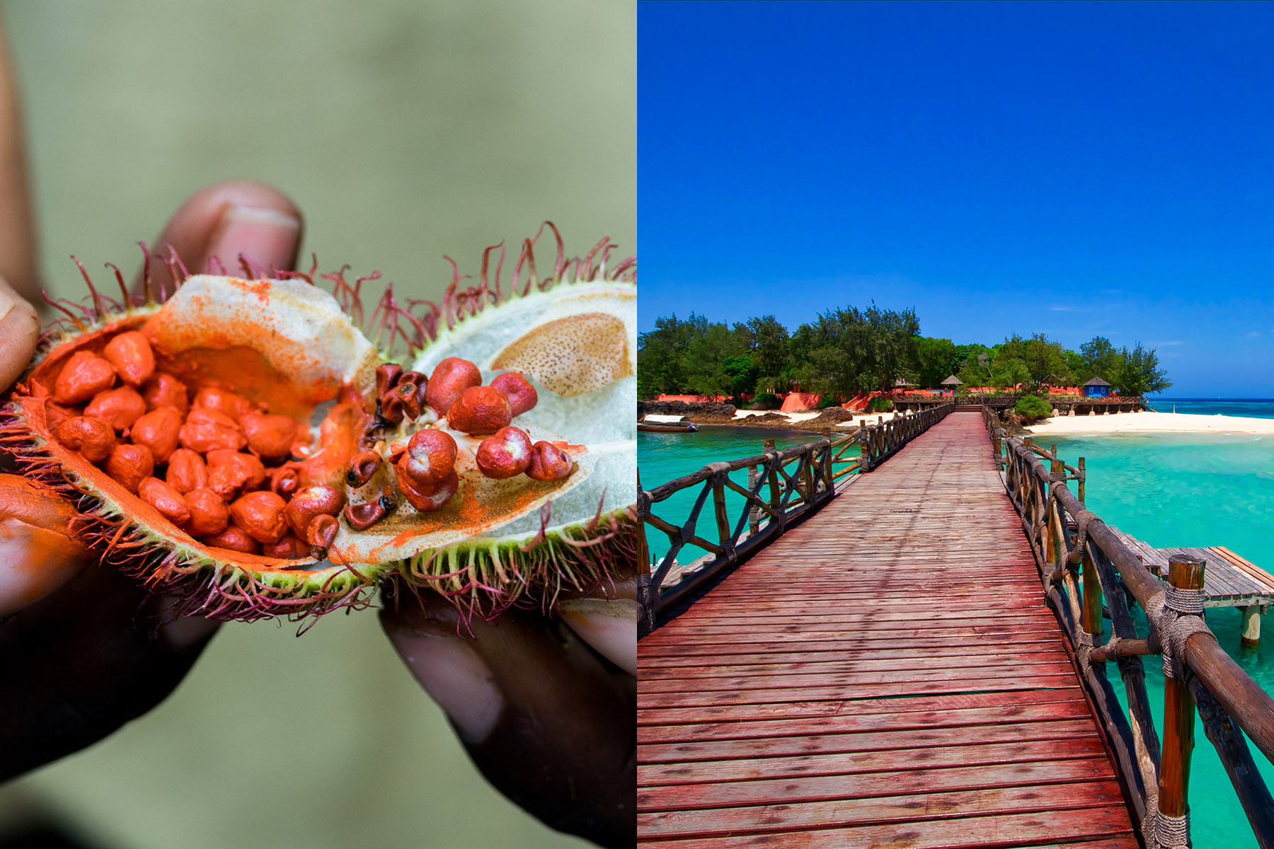 Combined Trip - Spice Farms, Stone Town and Prison Island - thumbnail 2