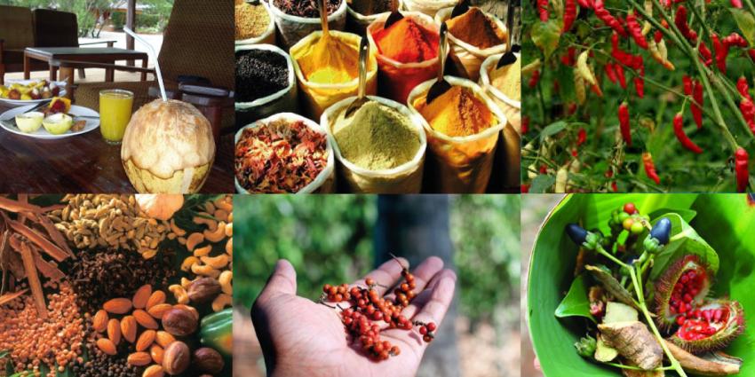 Combined Trip - Spice Farms, Stone Town and Prison Island - Book on Tour Vigator
