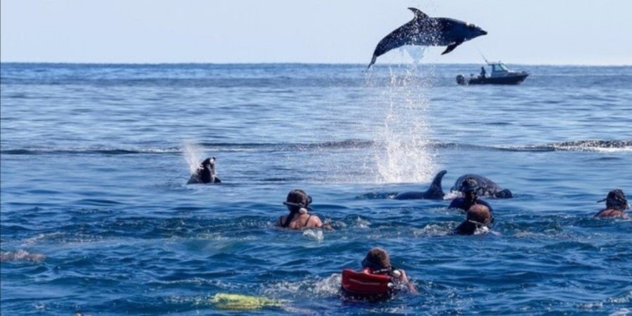 Zanzibar tours and activities - Tour Vigator