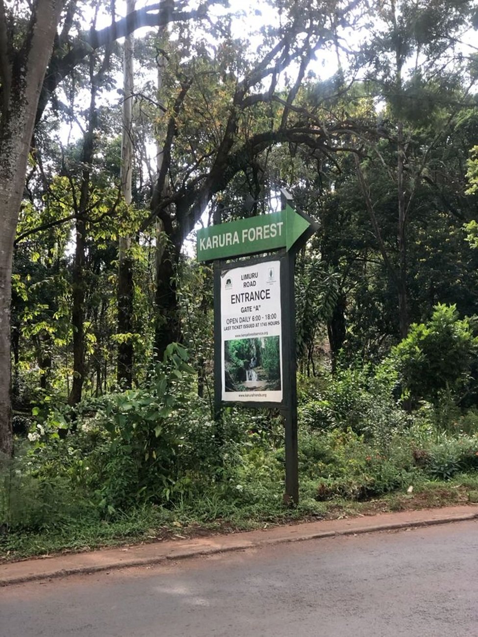 Nairobi: Karura Forest History Guided Nature Walk, Waterfalls & Caves - thumbnail 2