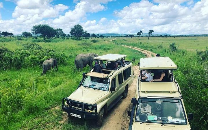 Mikumi National Park Day Safari from Zanzibar - Book on Tour Vigator
