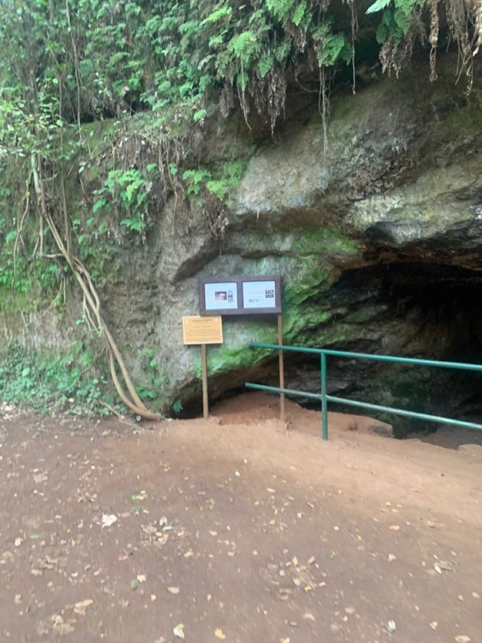 Nairobi: Karura Forest History Guided Nature Walk, Waterfalls & Caves - thumbnail 3