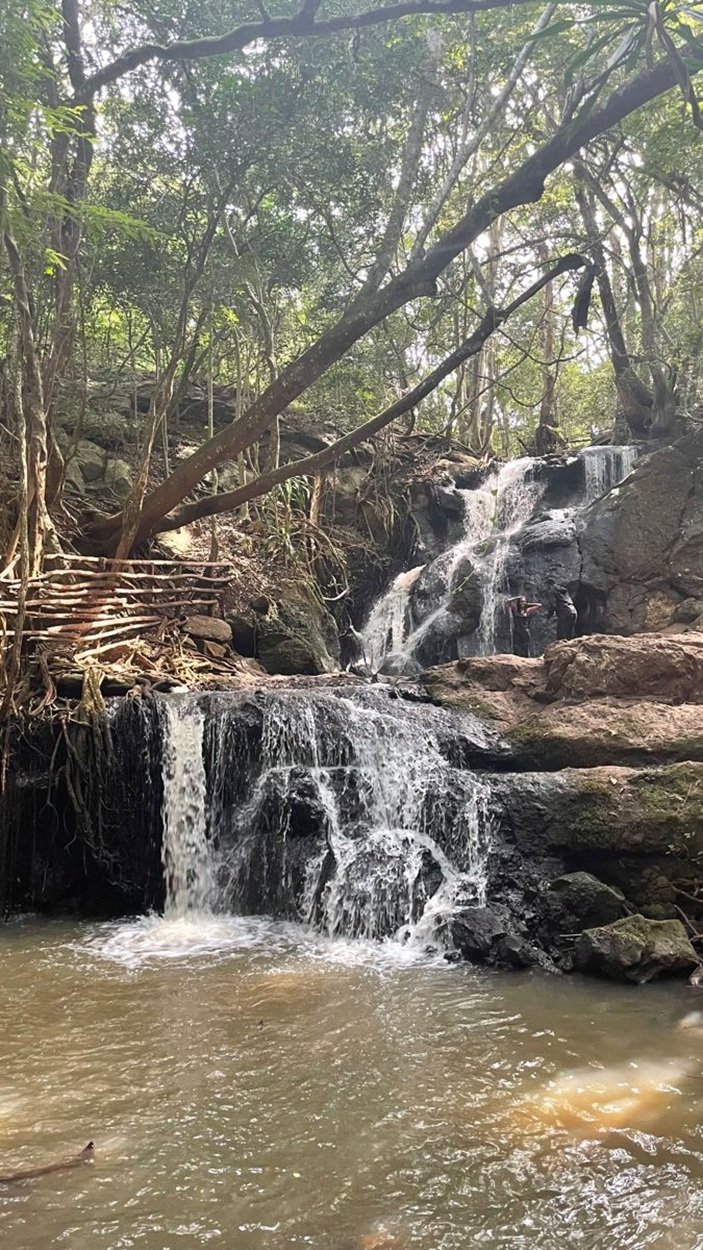 Nairobi: Karura Forest History Guided Nature Walk, Waterfalls & Caves - Book on Tour Vigator