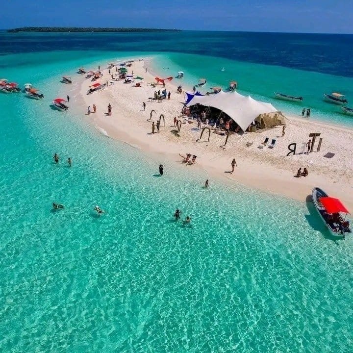 SAFARI BLUE - thumbnail 4