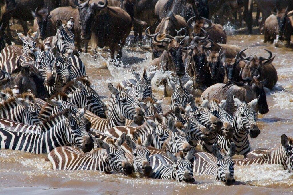 7-Day Journey Through Northern Tanzania - thumbnail 5