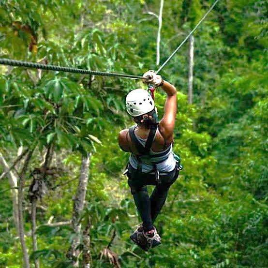 Zipline Zanzibar Adventure - Book on Tour Vigator
