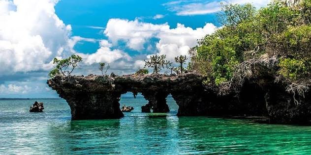 Safari Blue Full-Day Tour – Zanzibar - thumbnail 2