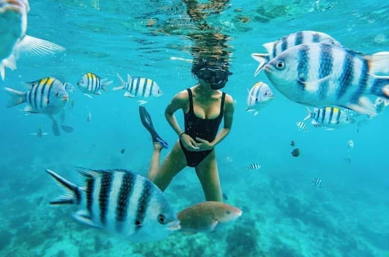 Half Day Mnemba Island Snorkeling Experience from Zanzibar - thumbnail 2
