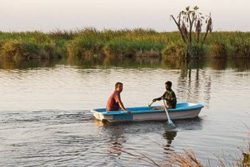 Ethiopia 3 Days Awash National Park Safari Tour - thumbnail 6