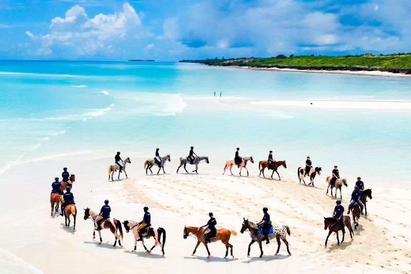 Zanzibar Horse Riding Beach Experience - thumbnail 7