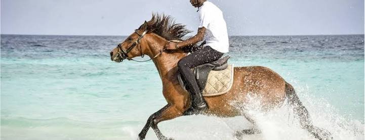 Zanzibar Horse Riding Beach Experience - thumbnail 4