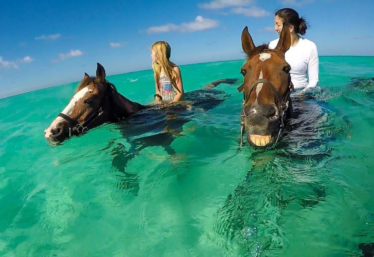 Zanzibar Horse Riding Beach Experience - thumbnail 8