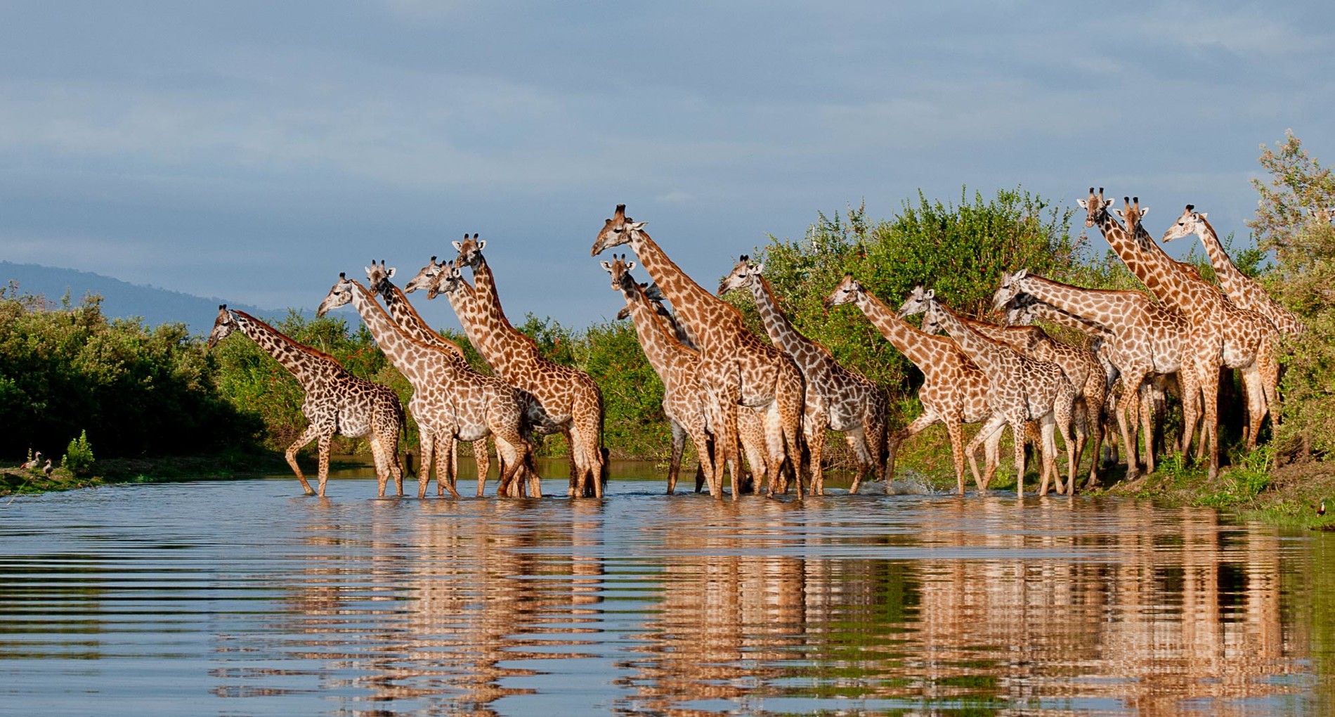 Day Trip: Zanzibar - Selous Game Reserve - Zanzibar - thumbnail 5
